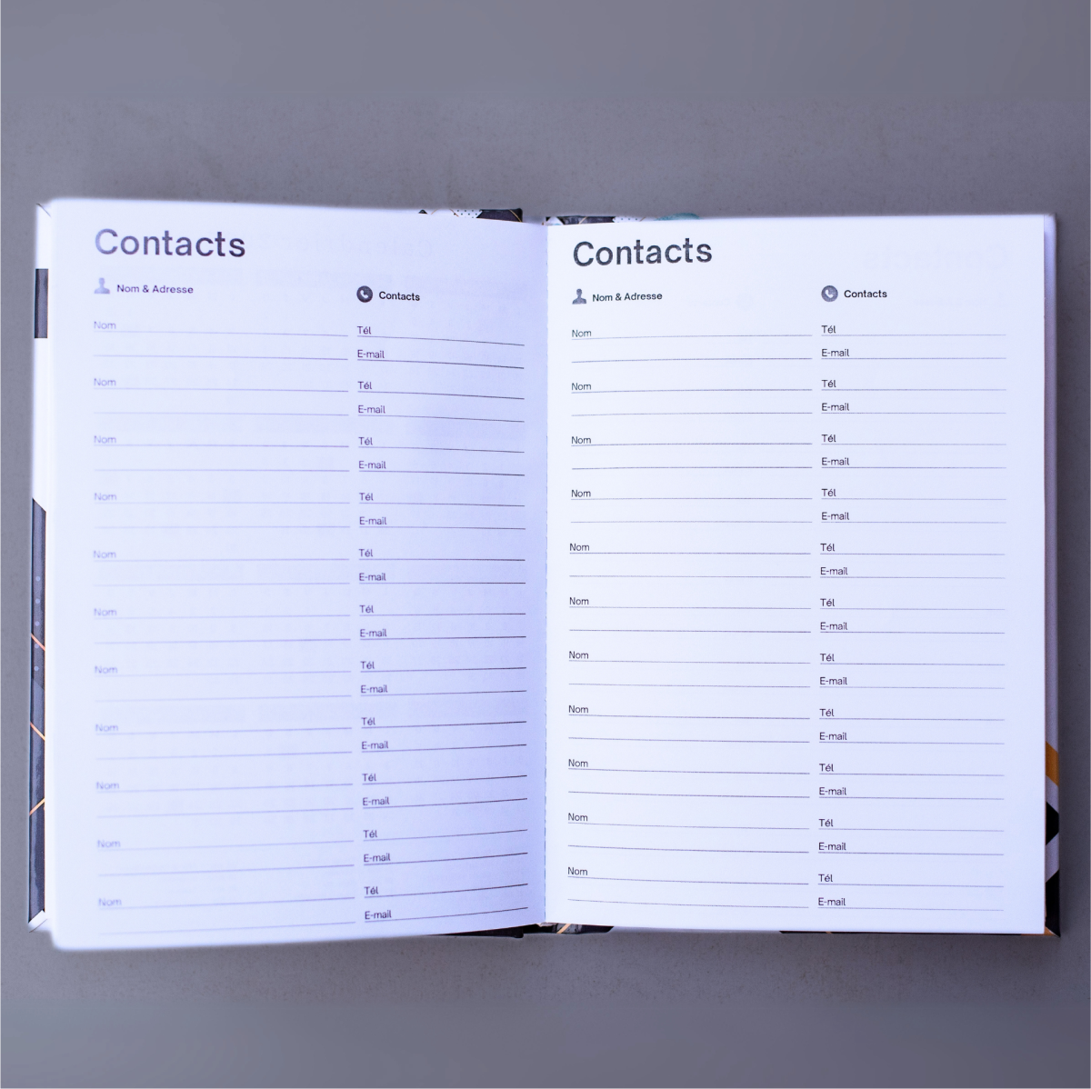 Agenda-semainier-img